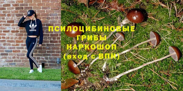 мет Абаза