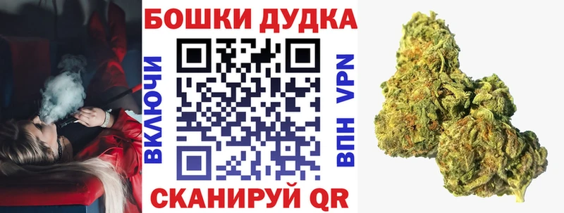 Конопля план  Советский 